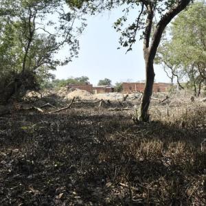 Este fue el manglar en Villa Saco en el que fue abandonado el cadáver de la mujer.