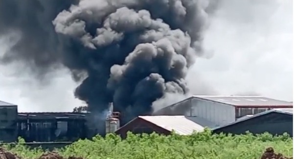 El hecho fue reportado por la línea wasapea a AL DÍA durante este lunes. 