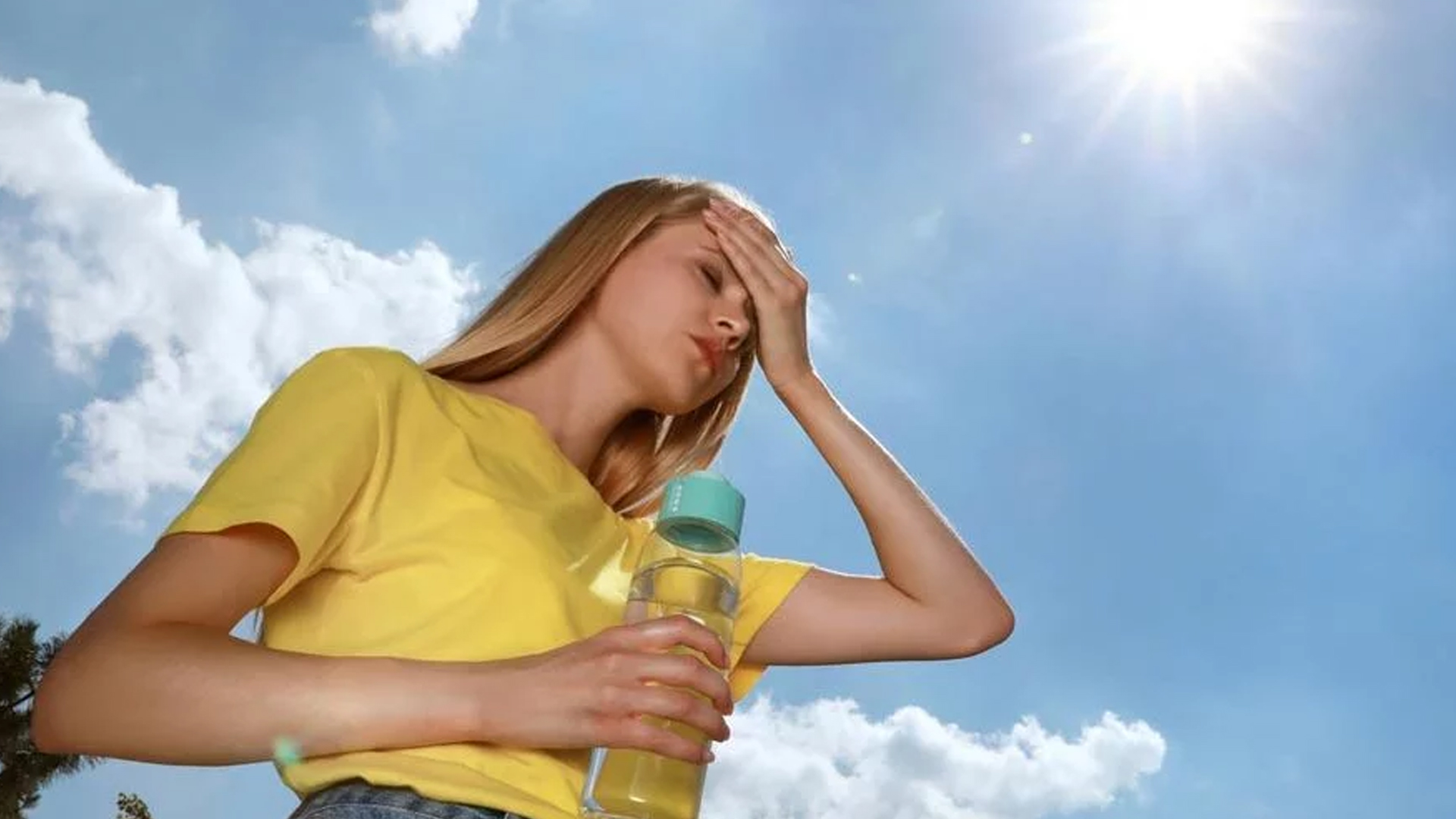 Imagen de referencia del calor