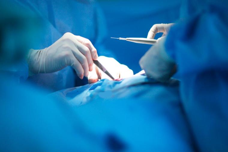 Imagen de referencia