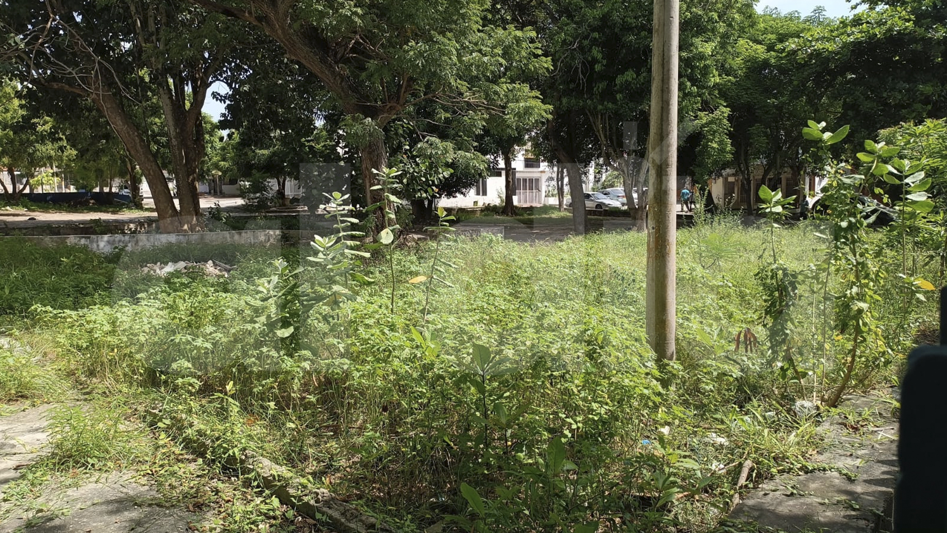 Aspecto del parque en el barrio El Silencio