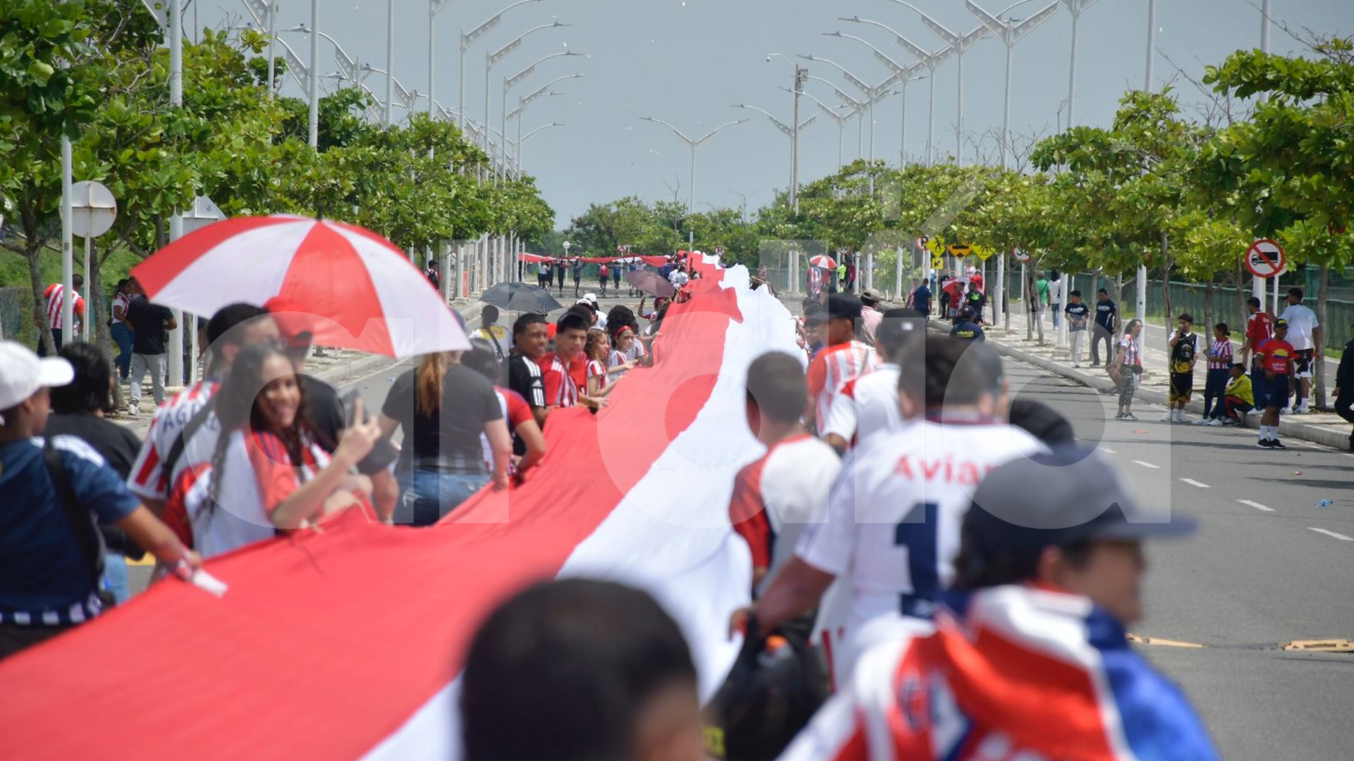 La bandera en pleno despliegue