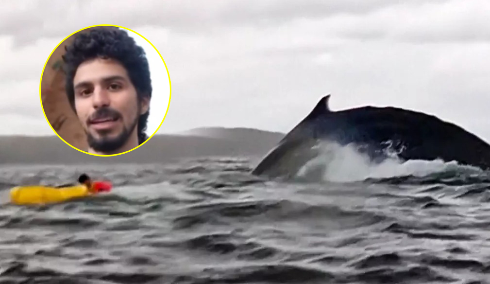 Adrián Simancas, joven 'tragado' por una ballena.