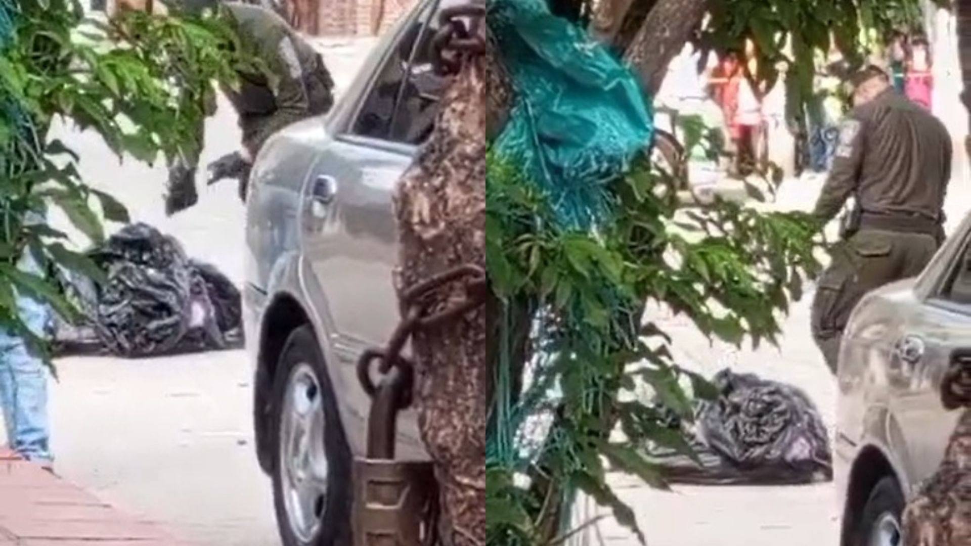 Basura presente en bolsas encontradas en Las Nieves.