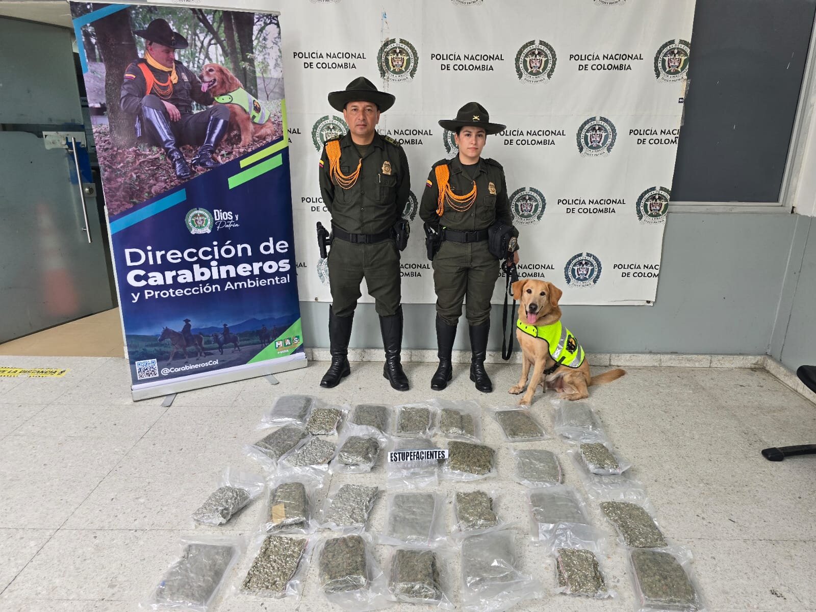 El canino 'Pepe' con las autoridades por proceso de incautación de marihuana.