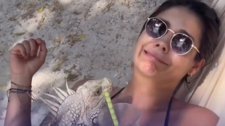 Caporo en la hamaca de una mujer en una playa.