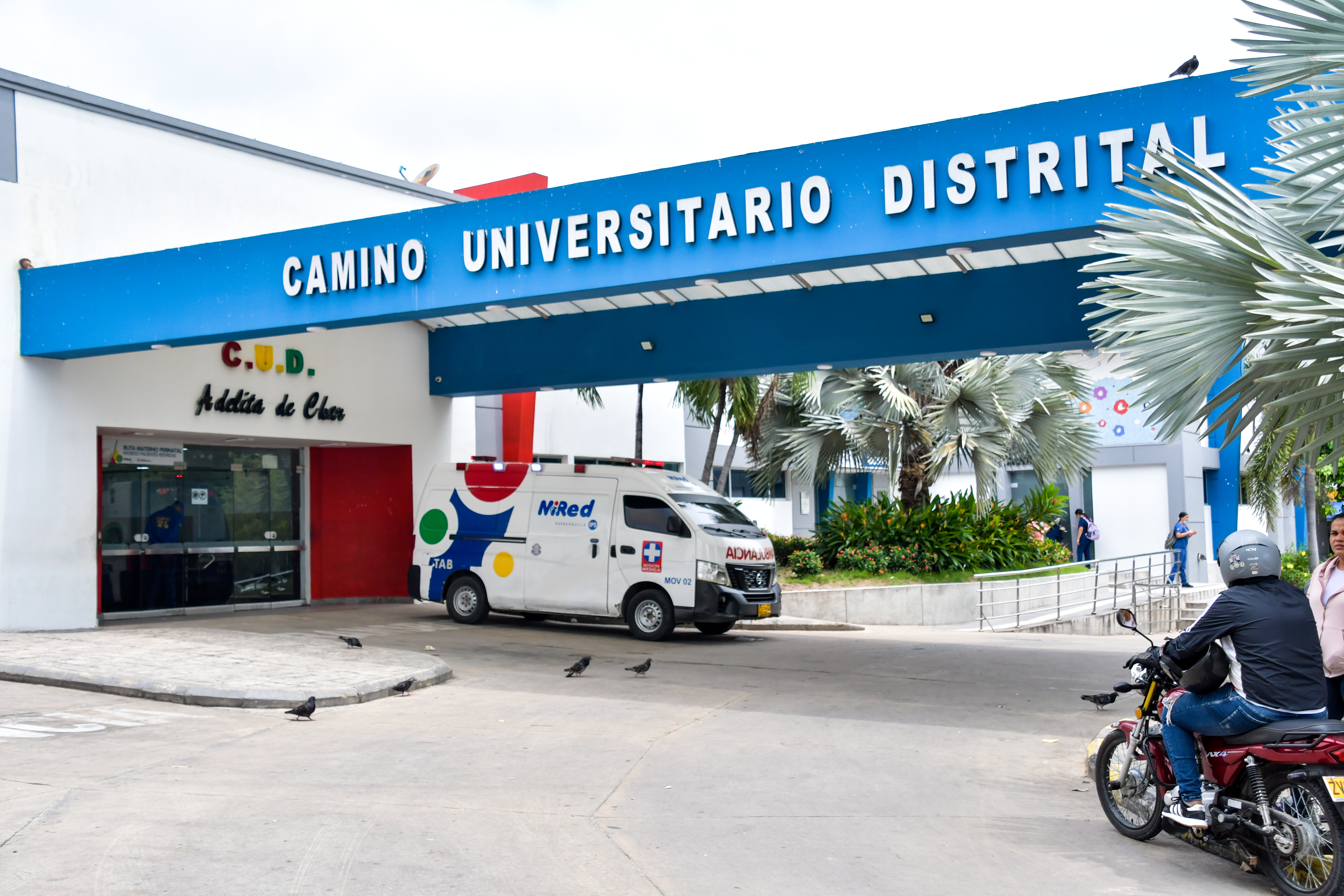 Camino Universitario Adelita de Char