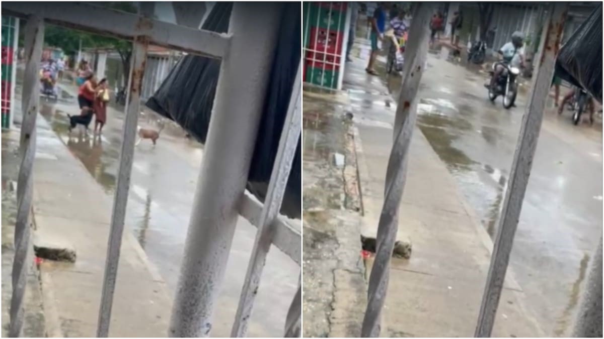 Vecinos del sector captaron imágenes de lo ocurrido