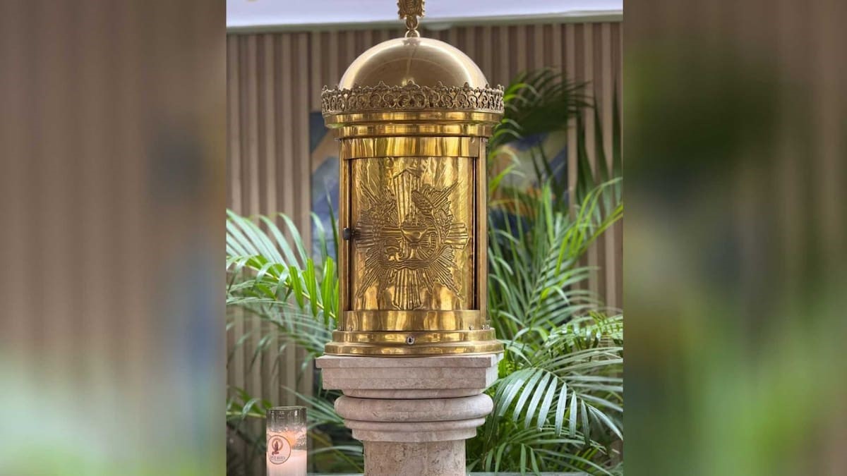 Imagen de referencia 