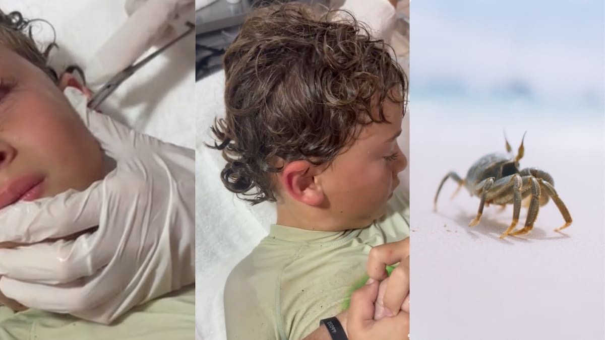 El incidente quedó registrado en video