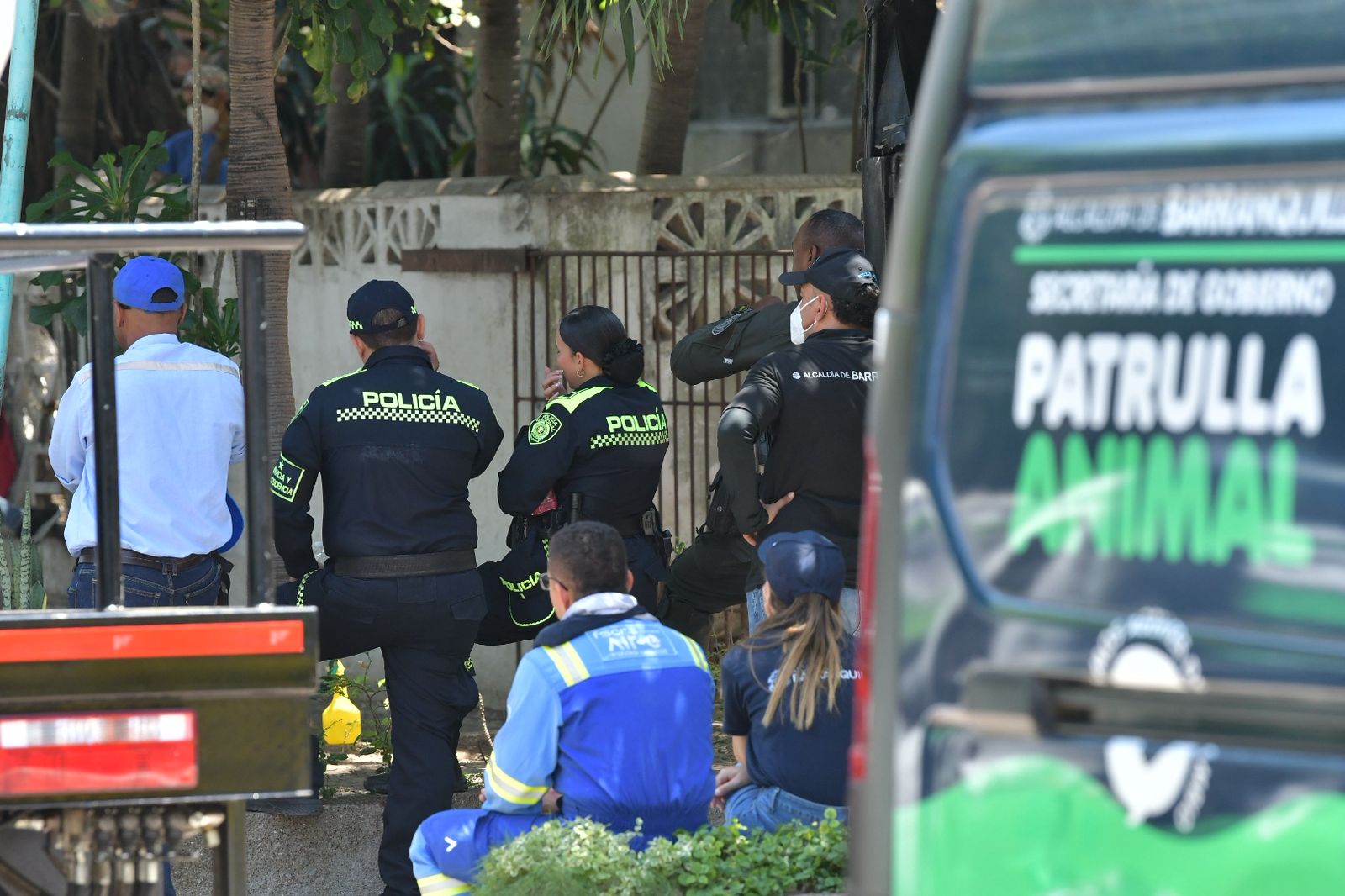 Momentos de la intervención