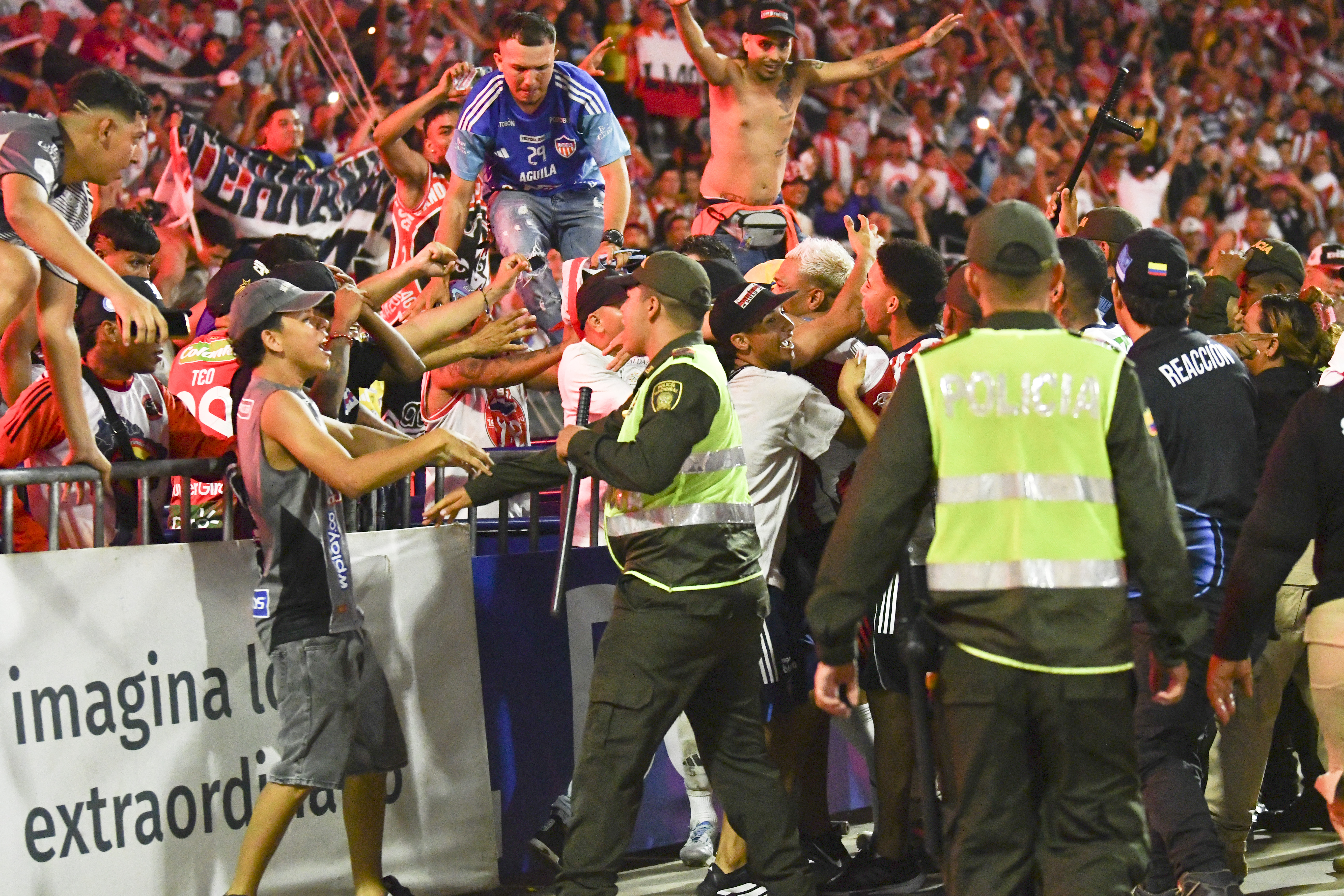 Imagen referencial