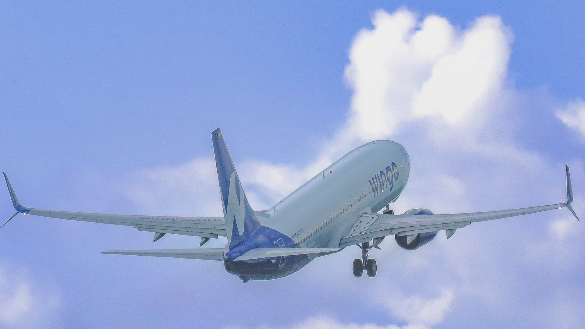 Avión de Wingo 