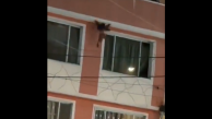 Momento de la caída