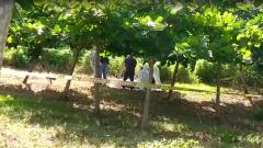 El cuerpo encontrado tenía atado a su cuello una cuerda y esta permanecía amarrada a un árbol.