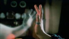 Imagen de referencia. 