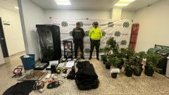 Plantas y objetos incautados.