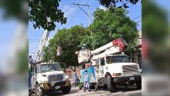 Imagen de referencia