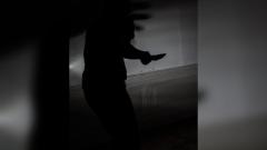 Imagen de referencia. 