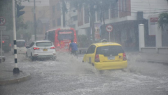 Imagen de referencia. 