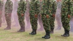 Imagen de referencia. 