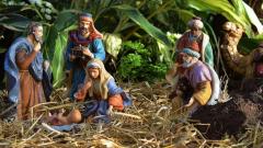 Imagen de referencia. 