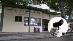 Sede Medicina Legal / Imagen de referencia. 