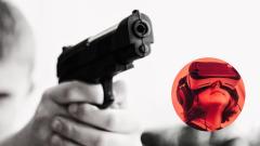 Imagen de referencia. 