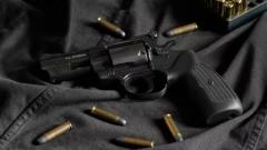 Imagen de referencia.