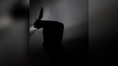 Imagen de referencia.