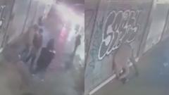 Imégenes del video. 