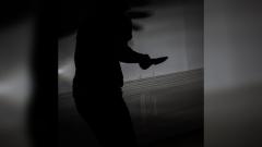 Imagen de referencia.