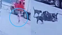 El hecho quedó registrado en la cámara de seguridad del parqueadero.