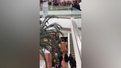 Aspecto de los operativos en el centro comercial
