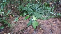 zona de las labores de investigación