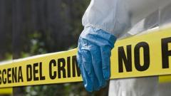 Imagen de referencia.