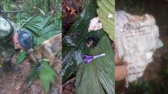 Menos desaparecidos por accidente aéreo