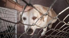 Imagen de referencia