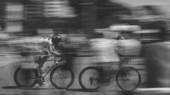 imagen de referencia