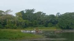 Helicóptero de la Armada caído en Bolívar.