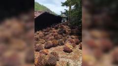 Accidente en la Vía Alterna, Santa Marta.