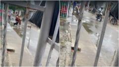 Vecinos del sector captaron imágenes de lo ocurrido