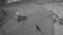 Captura de video del momento de los hechos