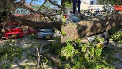 Momento del incidente