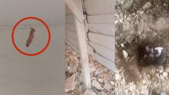 Marcas de sangre halladas por medio de una prueba de luminol los peritos revelaron, esto según los allegados.