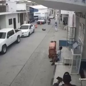 Este es el momento en el que el animal cae al suelo desde un tercer piso.