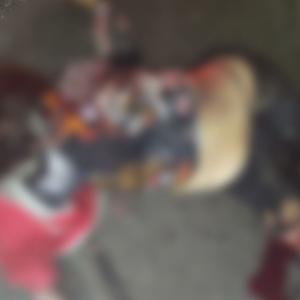 La mujer falleció al instante del siniestro, mientras su acompañante fue llevado a un centro médico de Santa Marta.