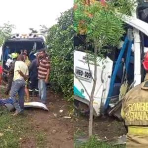 El autobús se salió de la vía y terminó en un sector enmontado.