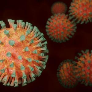 Uno de los síntomas del nuevo virus es la encefalitis (Inflamación en el cerebro)