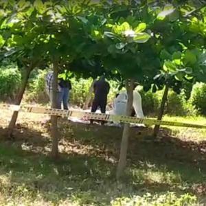 El cuerpo encontrado tenía atado a su cuello una cuerda y esta permanecía amarrada a un árbol.